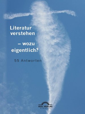 cover image of Literatur verstehen – wozu eigentlich? 55 Antworten